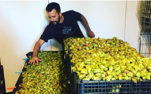 KM5: La cerveza artesanal con sello comodorense que en octubre llega al Museo del Louvre en París