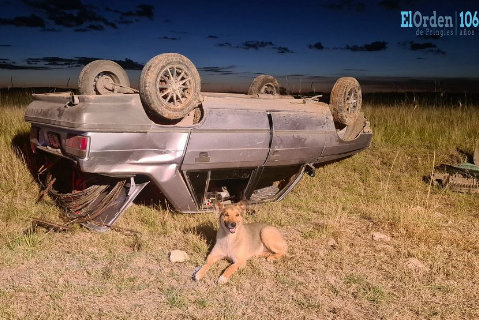 Se despistó en auto y su perro se quedó con él hasta que lo rescataron
