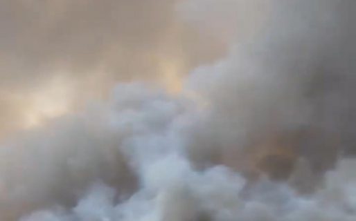 Bomberos trabajan en Península Valdés para detener el incendio que avanza descontrolado