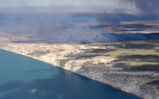 Las desgarradoras imágenes de Península Valdés, desde el aire