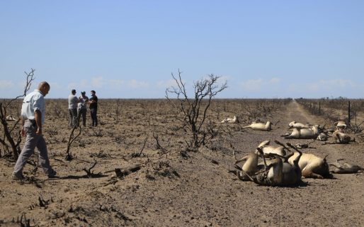 El Gobierno releva perdidas productivas en las zonas afectadas por los incendios