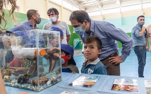 El Municipio junto a la UNPSJB enseñan a los chicos sobre educación ambiental
