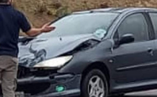 Un caballo produjo un accidente en el camino Roque González