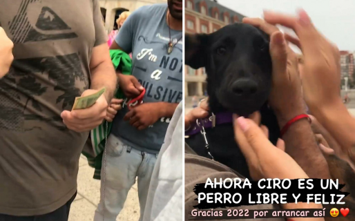Vecinos le compraron el perro a un maltratador que le pegaba
