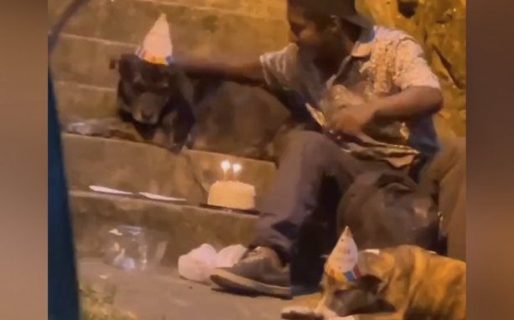 Una persona en situación de calle le festejó el cumpleaños a sus perros y enterneció a todos