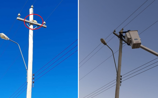 Rescate heroico: Personal de la Cooperativa salvó a un gatito que escaló un elevado poste de luz