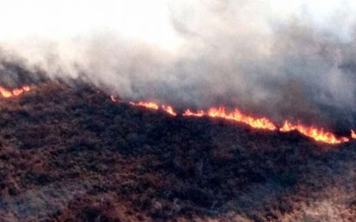 Nuevo foco de incendio en proximidades de Arroyo Verde