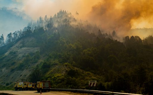 Imprudencia humana, la causa de 7 focos de incendio en la cordillera
