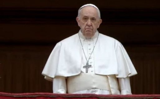 El Papa Francisco criticó a los que prefieren adoptar mascotas en lugar de tener hijos