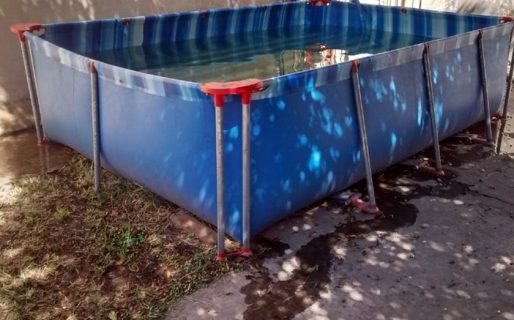 Una nena murió ahogada cuando intentaba salvar a un gatito