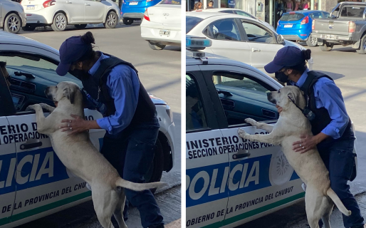 Captan a perrito “saludando” a policías en el centro