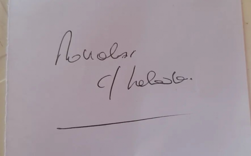 La picó un bicho “desconocido” y le recetaron ravioles y helado para recuperarse