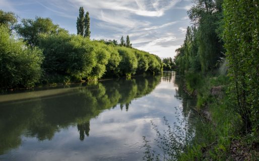 En el invierno 2021 se habría erogado más agua que la que se usa en período de riego en el Valle