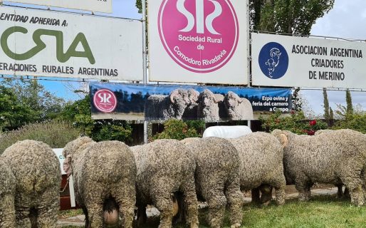 La 84ª Exposición Ganadera se realizará del 4 al 6 de febrero