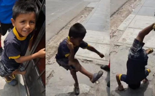 Con Tilín a la cabeza, estos fueron los videos virales más divertidos del año