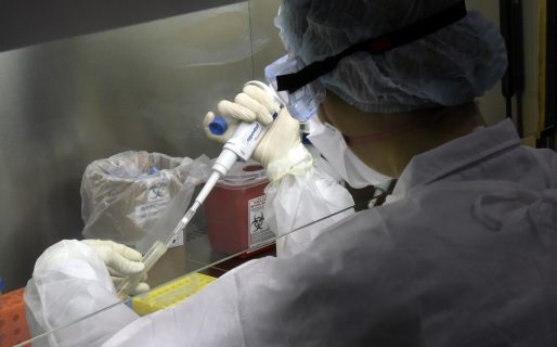 Identifican dos virus nunca antes vistos en la Argentina