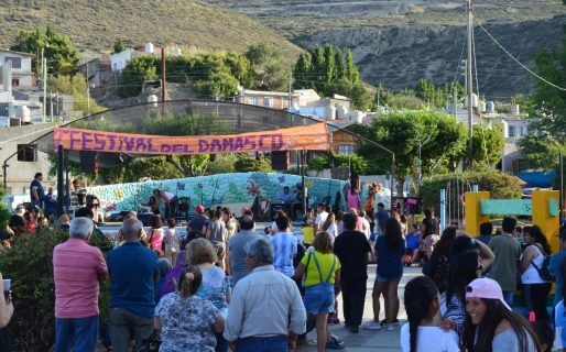 Laprida celebrará el Festival del Damasco