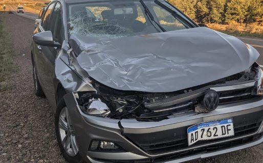 Iban al aeropuerto pero terminaron chocando una vaca