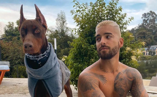 Así quedó el rostro de Maluma tras ser atacado por su perro