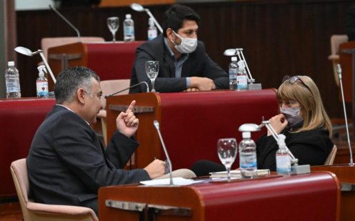 “Algunos dirigentes del radicalismo actúan servilmente al Pro”