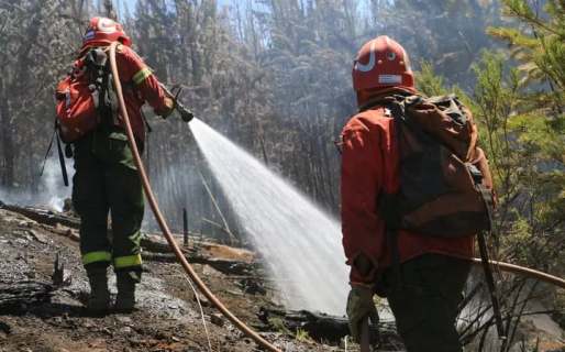 El Servicio Provincial de Manejo de Fuego intervino en 35 incendios desde el inicio de la temporada