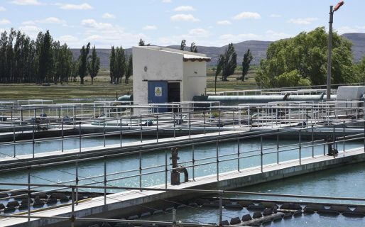 Por el deshielo anticipado hubo cortes y una inusual turbiedad en el agua del Lago Musters