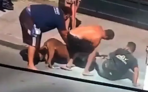 VIDEO: Un pitbull atacó a un hombre que debió recibir 27 puntos