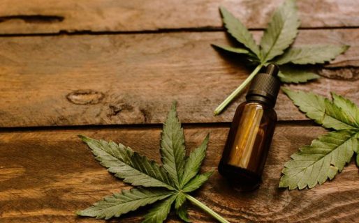 La Justicia aprobó la despenalización del autocultivo de cannabis para madres que producen aceite medicinal