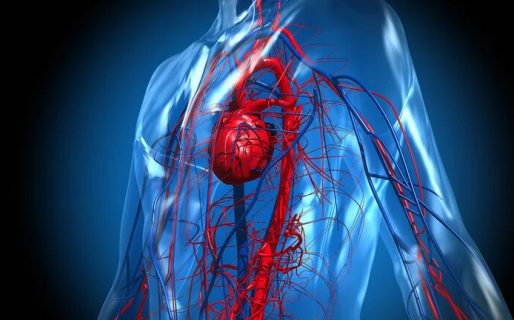 La infección por COVID aumenta el riesgo cardíaco hasta un año después del alta, incluso en casos leves