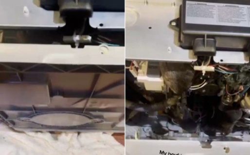 Desarmó su lavavajillas y encontró un nido de ratas adentro
