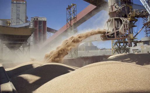 Luego del ataque de Rusia a Ucrania, la soja se dispara y supera los US$640 la tonelada