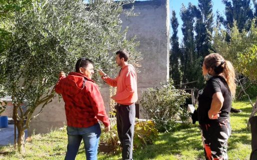 ﻿Provincia realizó asesoramiento en establecimientos productivos de la ciudad