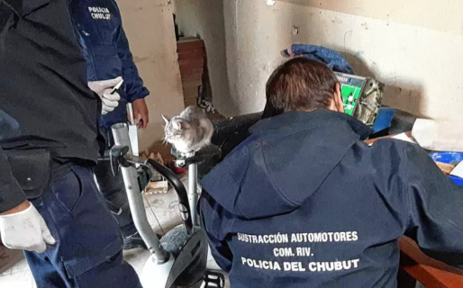 Bajó a comprar cigarrillos y le robaron una Ford Ranger