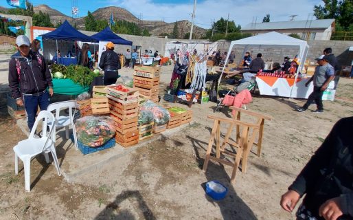 Exitosa feria de productores de la agricultura en barrio Saavedra