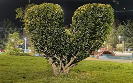 Un homenaje al amor en la Plaza de Las Torres