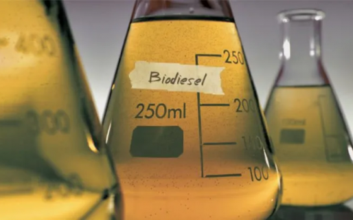 El Gobierno estableció una suba de retenciones al biodiésel del 1%