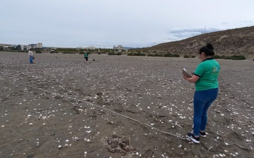 Provincia realizó un censo de residuos en las playas locales