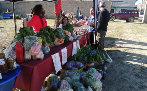 Este sábado se realizará la 1º edición de la feria de productos de la agricultura familiar «Golfo San Jorge»