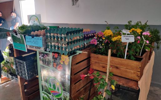 Productos frescos y orgánicos en el Festín de Sabores