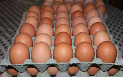 Inflación: la docena de huevos supera los 250 pesos