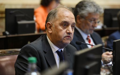 Linares: «Hay dos modelos de país claramente»