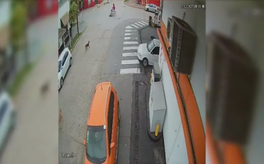 Una mujer fue atropellada por un ñandú en medio de la calle