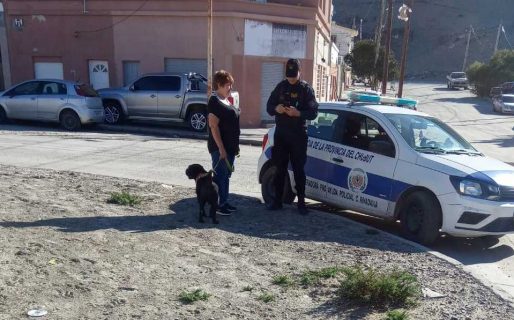 Paseaba el perro y tenía condena por facilitar la prostitución