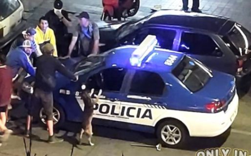 Detuvieron a cinco personas y el perro que estaba con ellos también se paró contra el patrullero para ser revisado