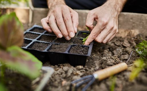 Rada Tilly: invitan a participar de un taller de huerta familiar