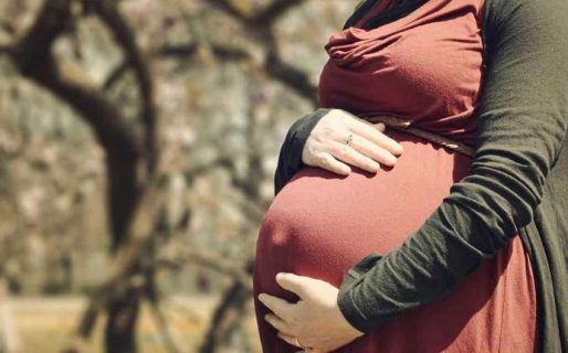 Apoyo alimentario ANSES: a quiénes está destinado y cómo solicitarlo