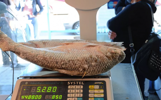“Nos cuesta mucho generar un precio acorde para el público”