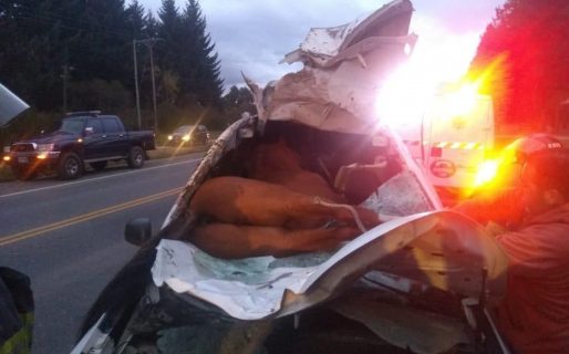 Grave accidente de tránsito en Las Golondrinas