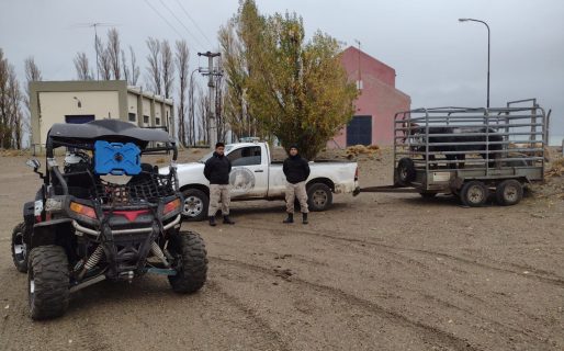 Sarmiento: suspendieron la búsqueda del niño en el Lago Musters por mal clima