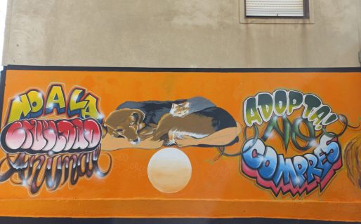 El ingenioso mural que fomenta el amor y la adopción de mascotas en Comodoro